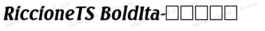 RiccioneTS BoldIta字体转换
